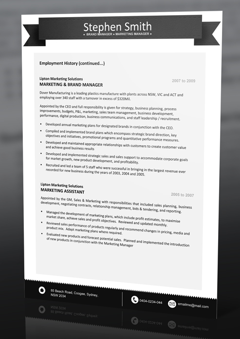 resume template 5